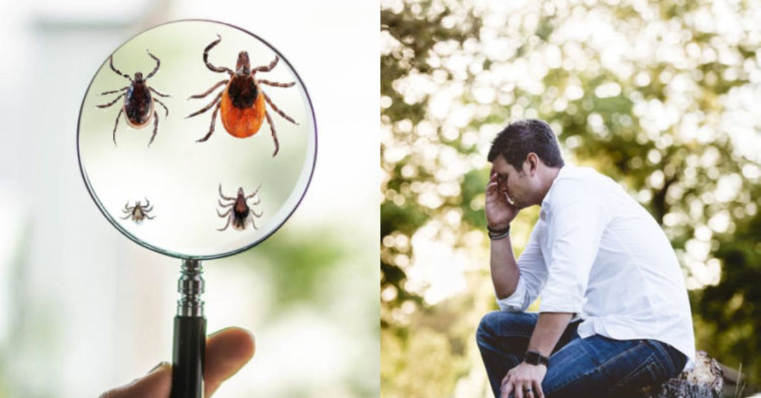 Lyme Disease & Low Dose Naltrexone (LDN)