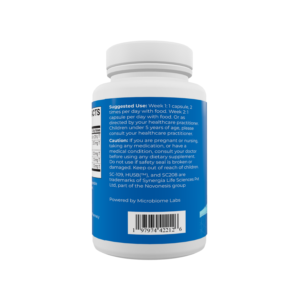 Gut Rehab